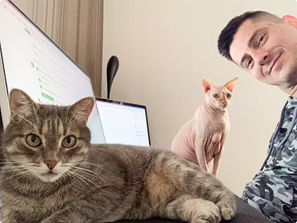 Working at home, with my cats